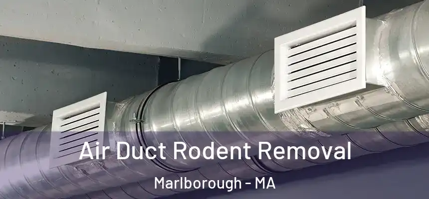  Air Duct Rodent Removal Marlborough - MA