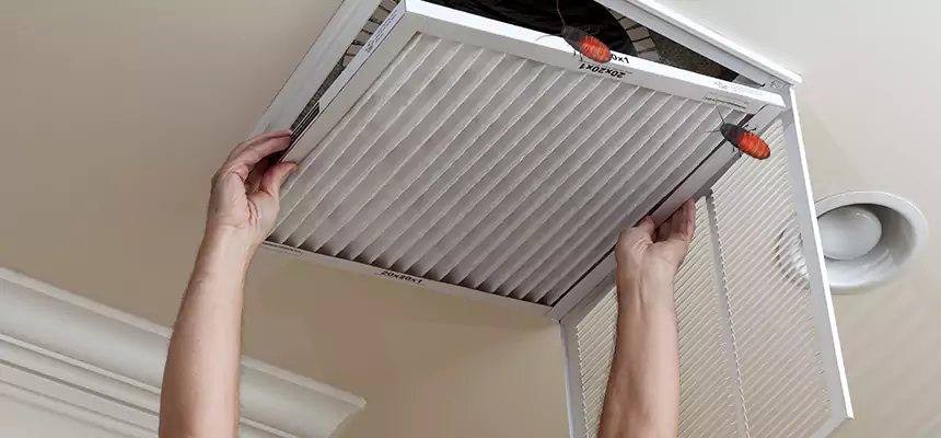 Preventive Cockroach-Proofing for Ducts in Marlborough
