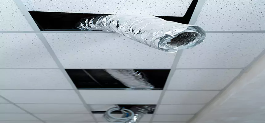 Our Air Duct Pet Hair Removal Services in Marlborough, MA