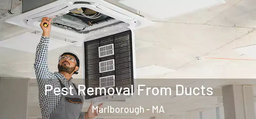  Pest Removal From Ducts Marlborough - MA