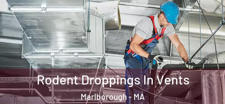  Rodent Droppings In Vents Marlborough - MA