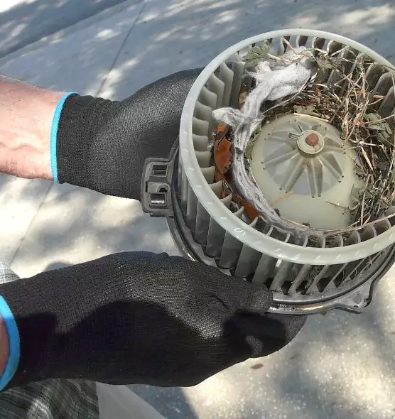 About Air Duct Rat Removal in Marlborough, MA